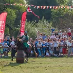 Zamek Dom Polonii 3* Pułtusk
