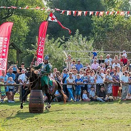 Zamek Dom Polonii 3* 普图斯克